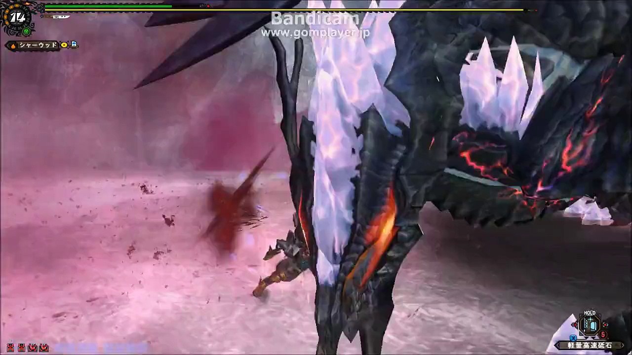 MHF-G8 塔一区番人　大剣ソロ