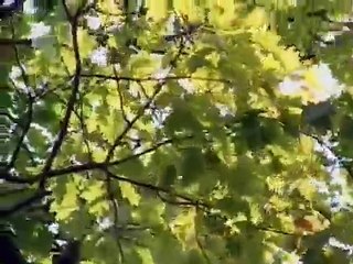 Mighty Machines In the City