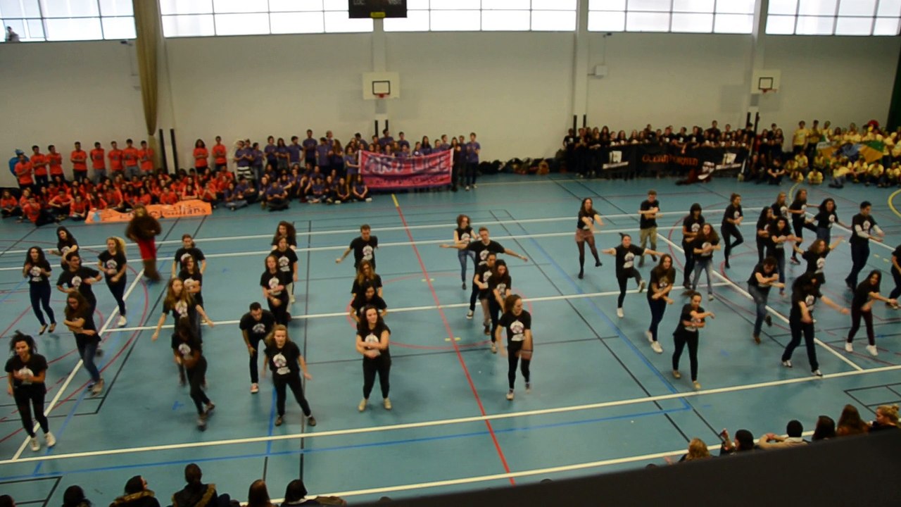 Choré d'ouverture liste BDA Artist Monkeys