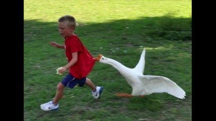 16 Imágenes Que Están Garantizadas A Hacerte Reír Incontrolablemente