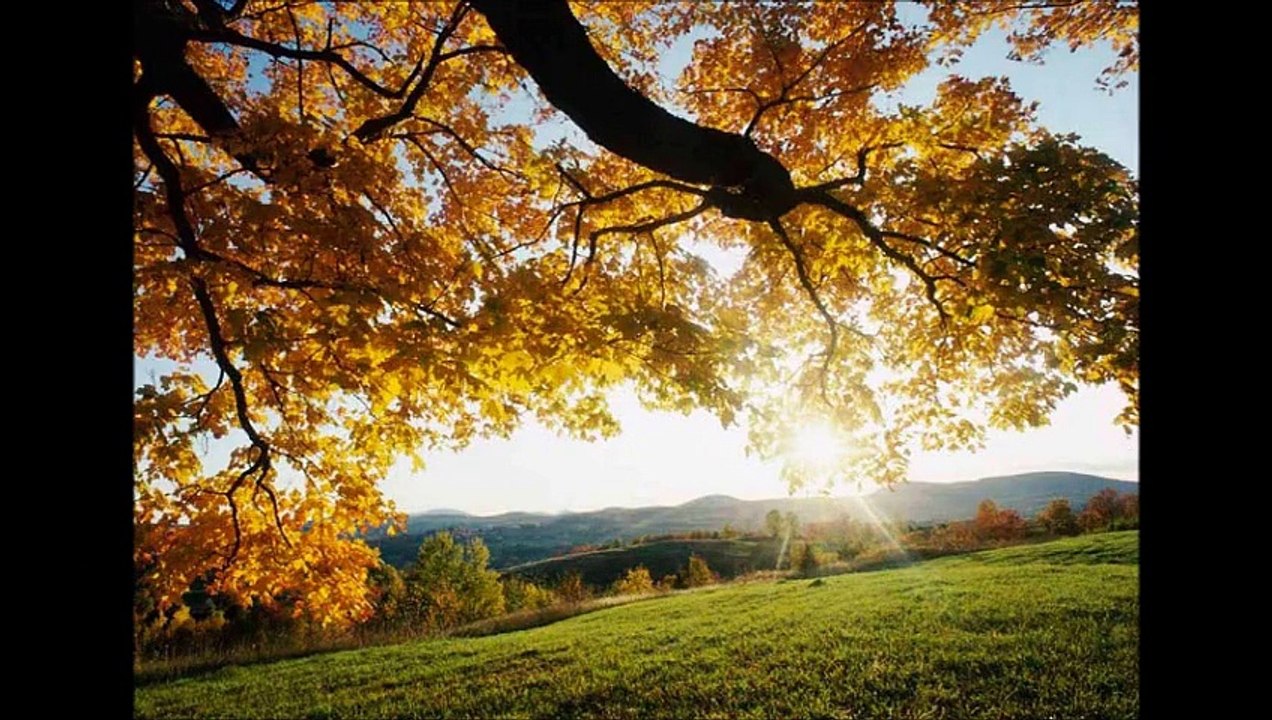 "Um beijo pode ser de amor, ou de adeus..." { Luke Strada }