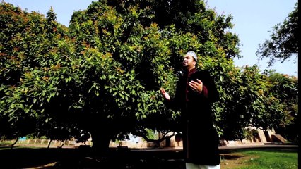 Madine Ki Hasrat,SAHI ALI BAGGA,BY UNCLE JONY