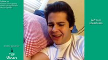 Ultimate David Dobrik Vine Compilation with Titles! - All David Dobrik Vines 2015 | Top Vi