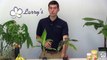 How To Grow Bananas at Home - Complete Growing Guide