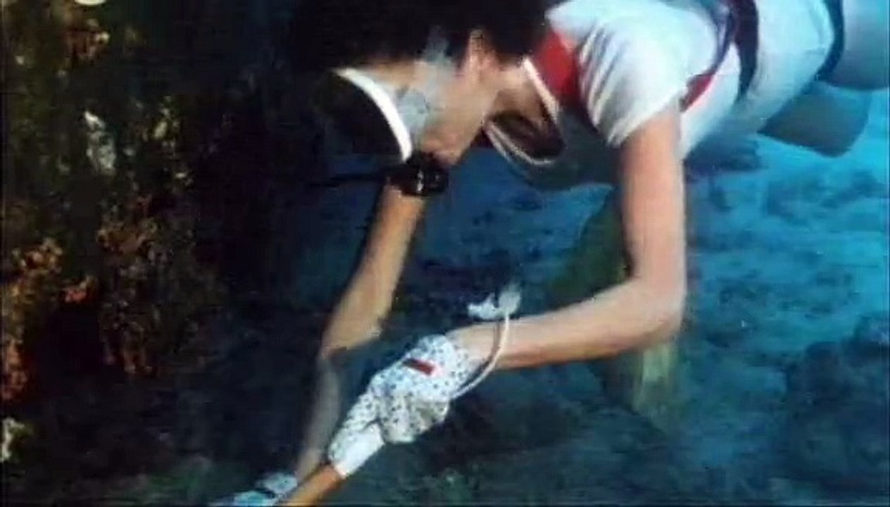 A pair of vacationers diving into a deadly wreck in Bermuda water