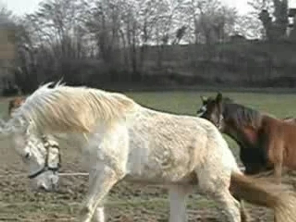 Giochi