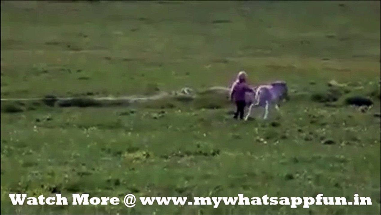 Whatsapp Funny video || How is Dear One