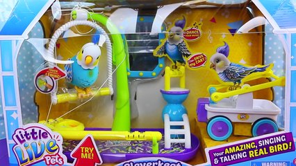 NEW Little Live Pets Cleverkeet Bird & Bird Playground With Swing & Cart by Moose Toys