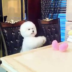 l안양출장안마l NEWOlO~2165~2776 LoveCall안양출장마사지 만족lOO%서비스