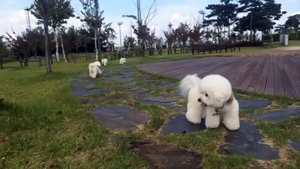 【경기지역】안산시출장안마∥010↔2165↔2776∥안산출장마사지꿀Body 러브홀릭1등서비스