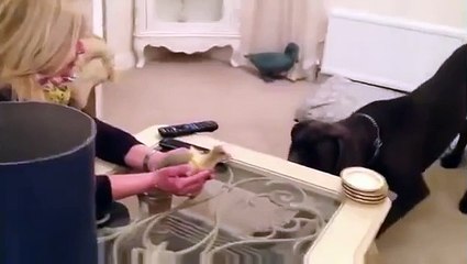 MX0성남출장안마《공일공》2178ㅡ9505성남출장마사지N성남지역선호도1위