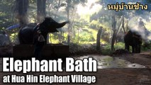 Elephant Bath at Hua Hin Elephant Village