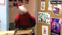 Funny videos - Funny Animal - Funny Parrots Dancing Compilation the best Cute Owls