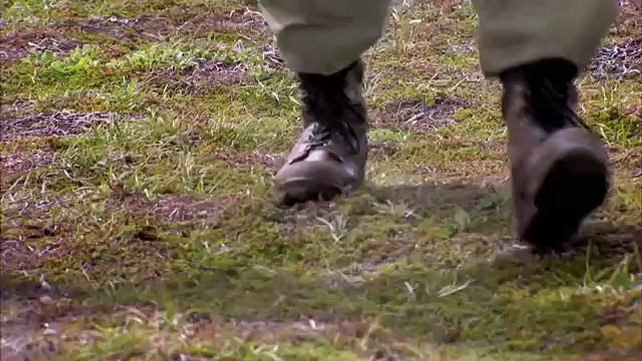 Grizzly Bear Takes Jeremy Wade’s Salmon - River Monsters