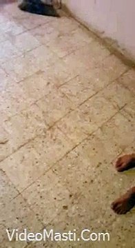 VID-20151111-WA0015.mp4