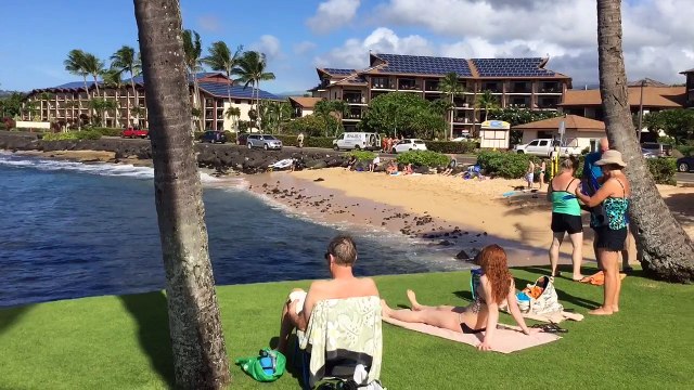 Lawai Beach Kauai Hawaii