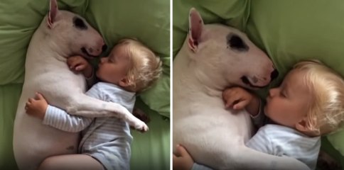 Köpekle Bebek Koyun Koyuna Uyudu