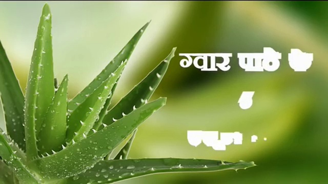 5 Aloe Vera Benefits For Beauty in Hindi - सौंदर्य के लिए ग्वारपाठे के लाभ urdu
