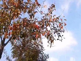 çocukken en çok gezdiğim-iz yerler-Yıldız Köyü