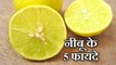 5 Benefits of Lemon in Hindi - नींबू के फायदे hindi and urdu