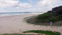 Un jeune surfeur grièvement blessé par un requin en Australie