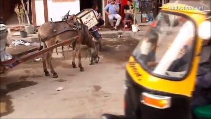 محمد عبدالوهاب   أغار من قلبي