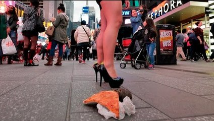 Caméra cachée: Un faux rat se ballade avec une part de pizza