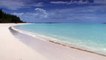 RELAX Nature Sounds CARIBBEAN BEACH #2 Relaxing Ocean Waves for Studying Relaxation Video