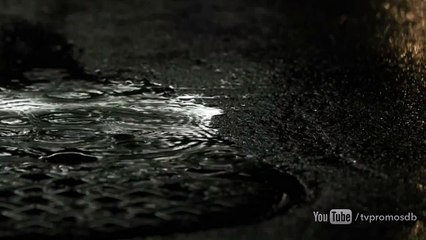 The Flash 2x07 Gorilla Warfare - Promo