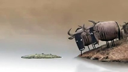 WhatsApp Videos Very Very Funny Message Dont Miss It