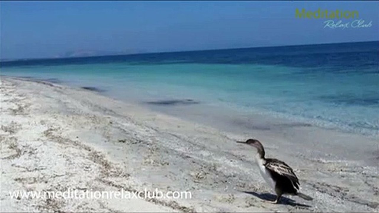 Méditation: musique douce relaxante et voie féminine pour la paix intérieure et la pensée