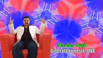 NICOLAE GUTA CINE E TATA BUN ASCULTARE2013 HIT █▬█ █ ▀█▀