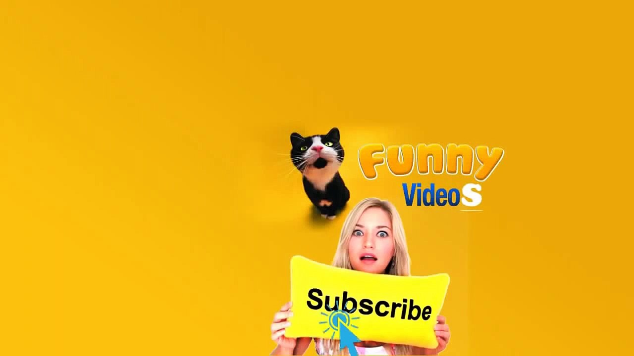 Funny Videos Compilation 2015 _ WhatsApp Videos_ Funny Indian Videos _ Vine Compilation Part 183-UeeScdwPJu0