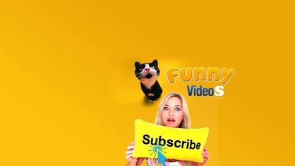 Funny Videos Compilation 2015 _ WhatsApp Videos_ Funny Indian Videos _ Vine Compilation Part 183-UeeScdwPJu0