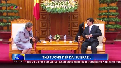 Thủ tướng Nguyễn Tấn Dũng tiếp đại sứ Brazil