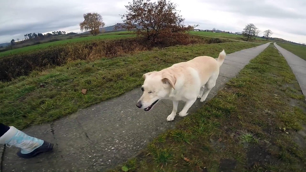 Denise in Bayern - Adam - Runding - 2015 - November