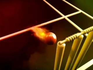 What Pakistani Celebrities Think About Younus Khan