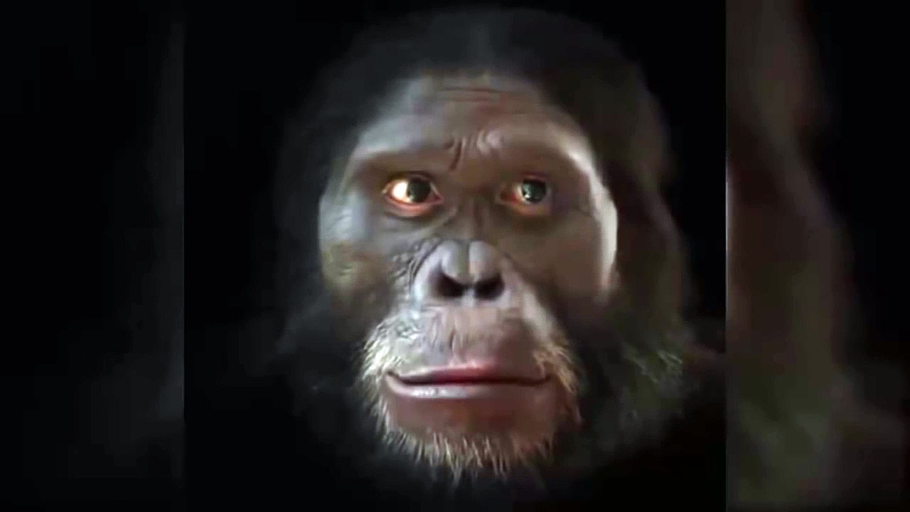 L'évolution du visage humain en 6 millions d'années