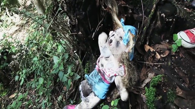 Question Mark Full Hindi Movie | Indias First Found Footage Film | Bollywood Horror Movie