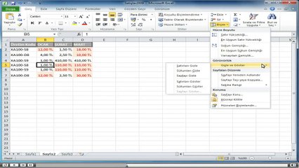 Excel, Baslangıc_3-Sayfa Biçimlendirme_4-Satır ve Sütunları Gizleme