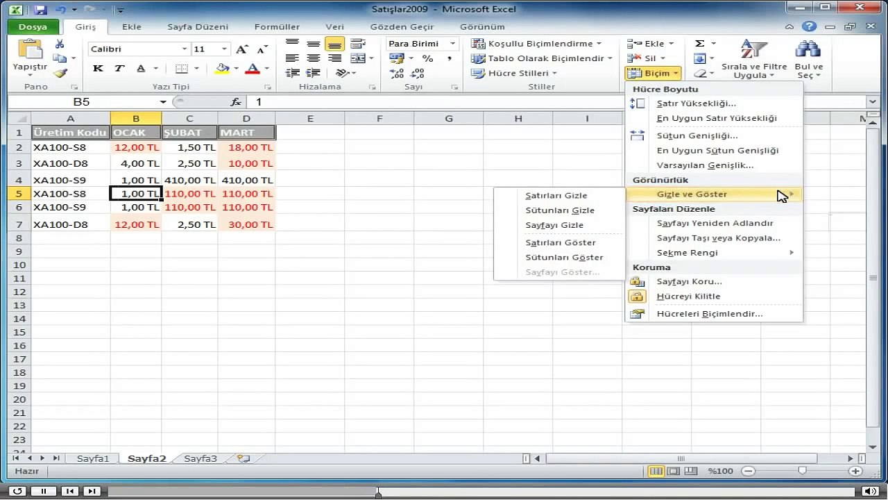 Excel, Baslangıc_3-Sayfa Biçimlendirme_4-Satır ve Sütunları Gizleme