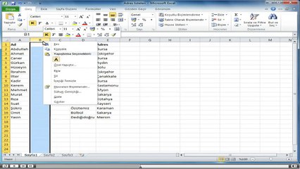 Excel, Baslangıc_3-Sayfa Biçimlendirme_1-Satır, Sütun Ekleme ve Silme