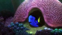 Finding Dory TRAILER 1 (2016) - Dominic West, Ellen DeGeneres Animation HD