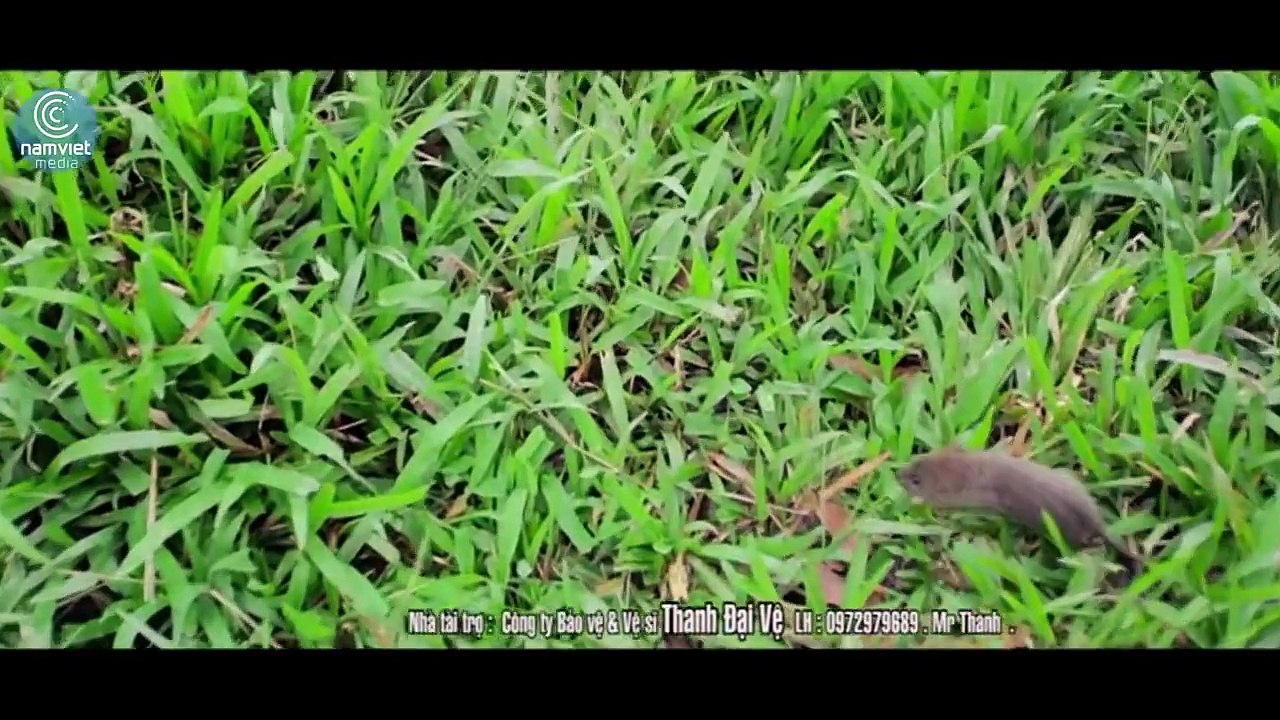 Con Chuột Đồng Đông Phương Tường ft Vũ Tuấn Khang Video Clip MV HD