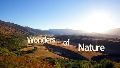 Wonders of Nature