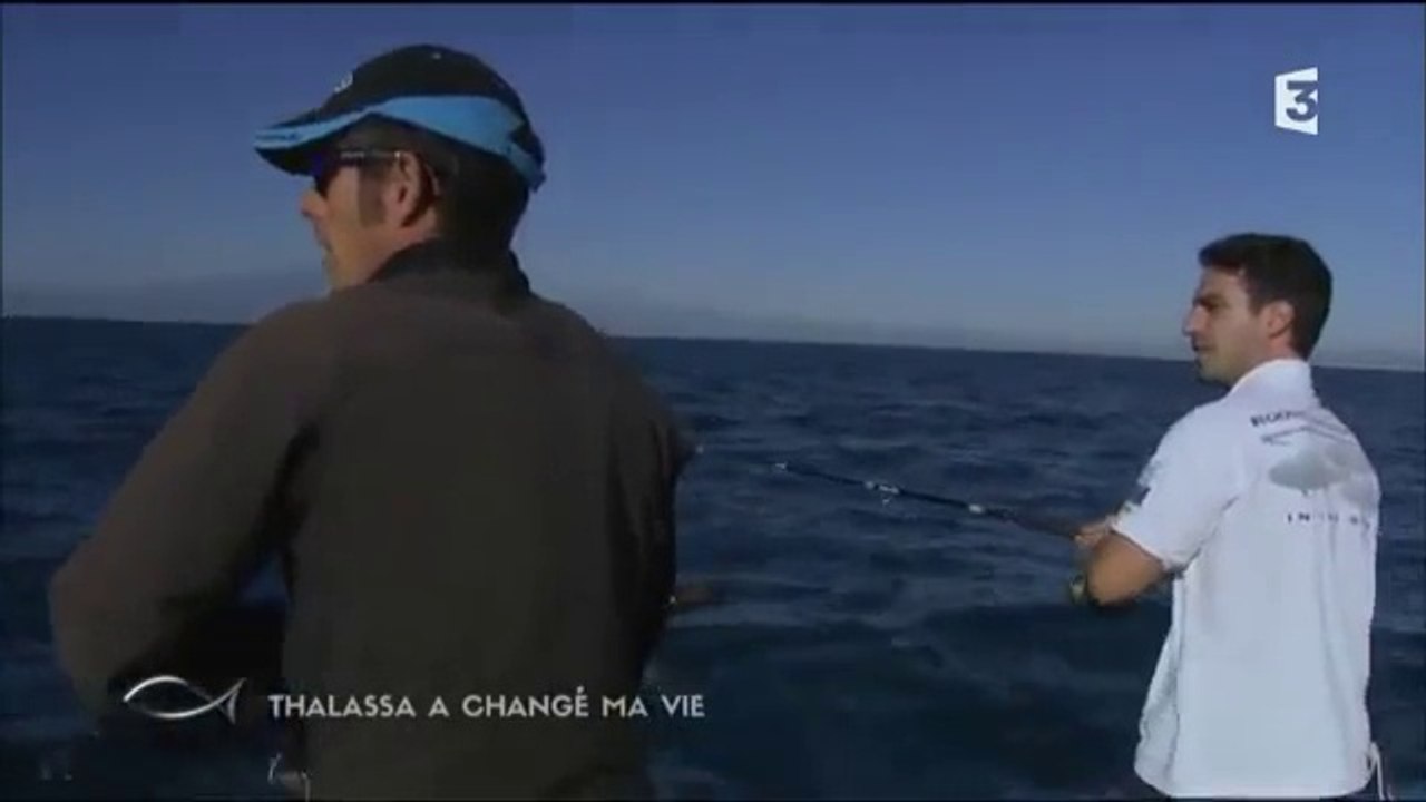Extrait Thalassa _ Ifremer & Roussillon Fishing