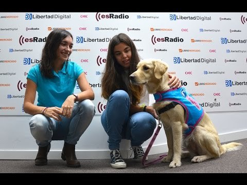 Mascotas: Los beneficios de las mascotas con Soulcan - 10/11/15