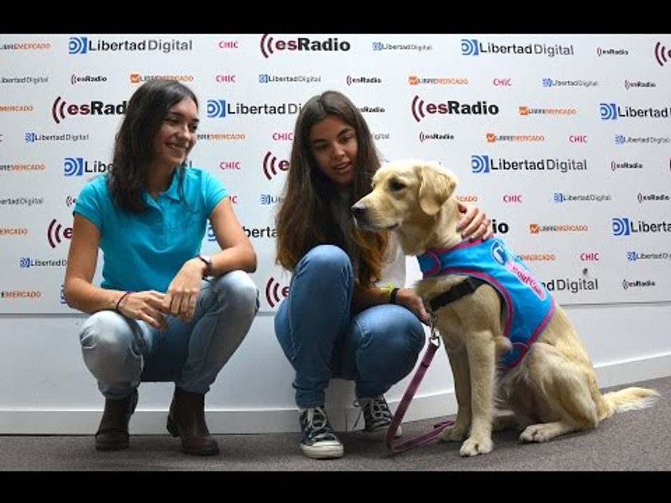 Mascotas: Los beneficios de las mascotas con Soulcan - 10/11/15