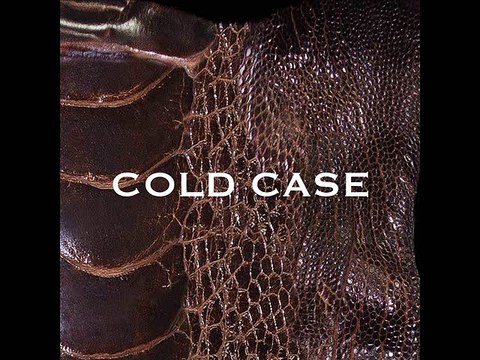 vistlip - COLD CASE - 1.COLD CASE