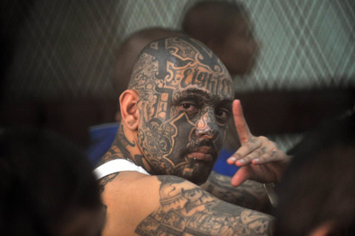 Ms13 World S Most Dangerous Gang Top Documentary Films